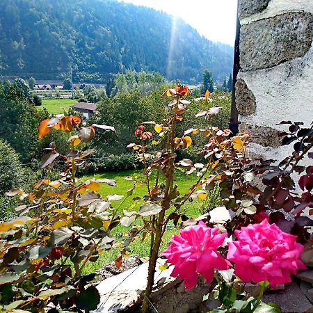 Apartmán Cjasa Da Puci Ovaro Exteriér fotografie