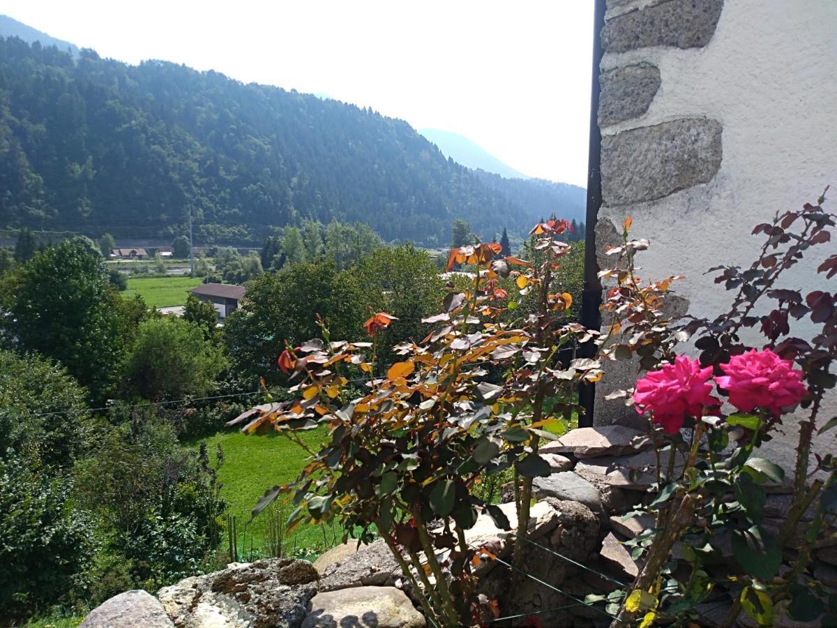 Apartmán Cjasa Da Puci Ovaro Exteriér fotografie