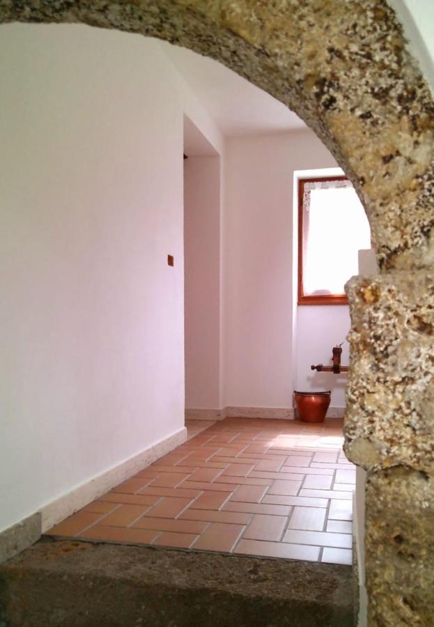 Apartmán Cjasa Da Puci Ovaro Exteriér fotografie