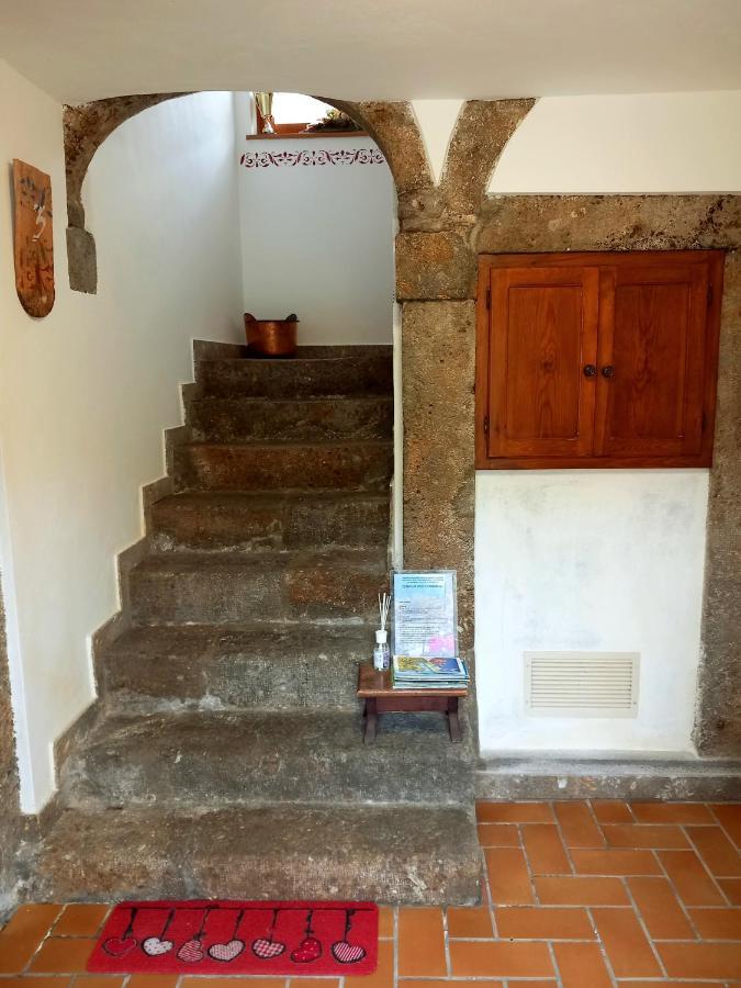 Apartmán Cjasa Da Puci Ovaro Exteriér fotografie