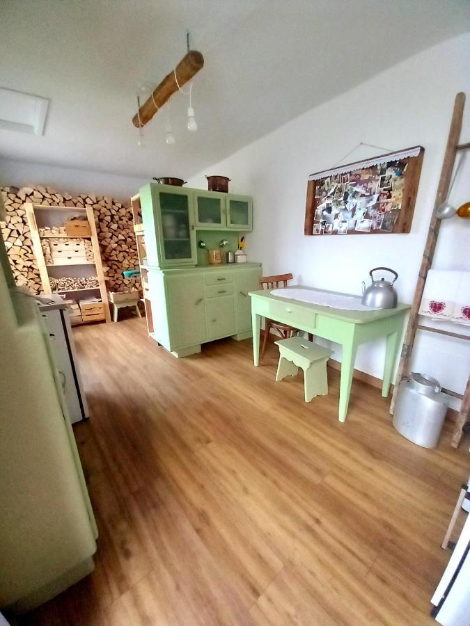 Apartmán Cjasa Da Puci Ovaro Exteriér fotografie
